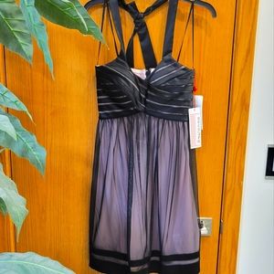 NWT! $125 Pink/Black Sheer Halter Dress Size 2